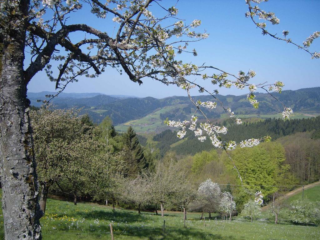 Langenberghof Apartment Oberharmersbach Bagian luar foto