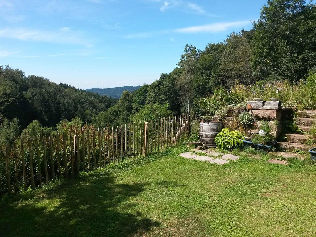 Langenberghof Apartment Oberharmersbach Bagian luar foto