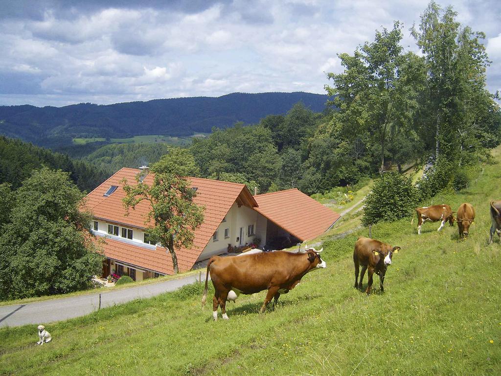 Langenberghof Apartment Oberharmersbach Bagian luar foto