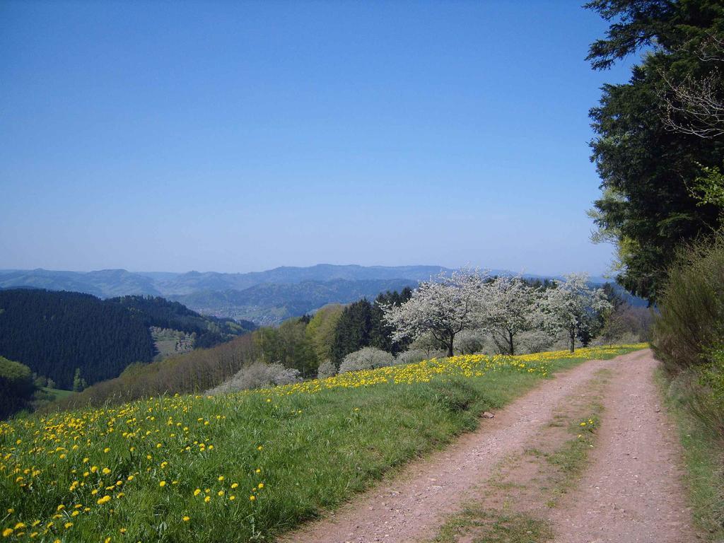 Langenberghof Apartment Oberharmersbach Bagian luar foto