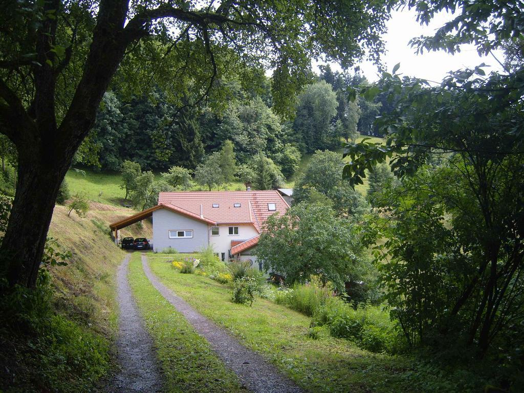 Langenberghof Apartment Oberharmersbach Bagian luar foto