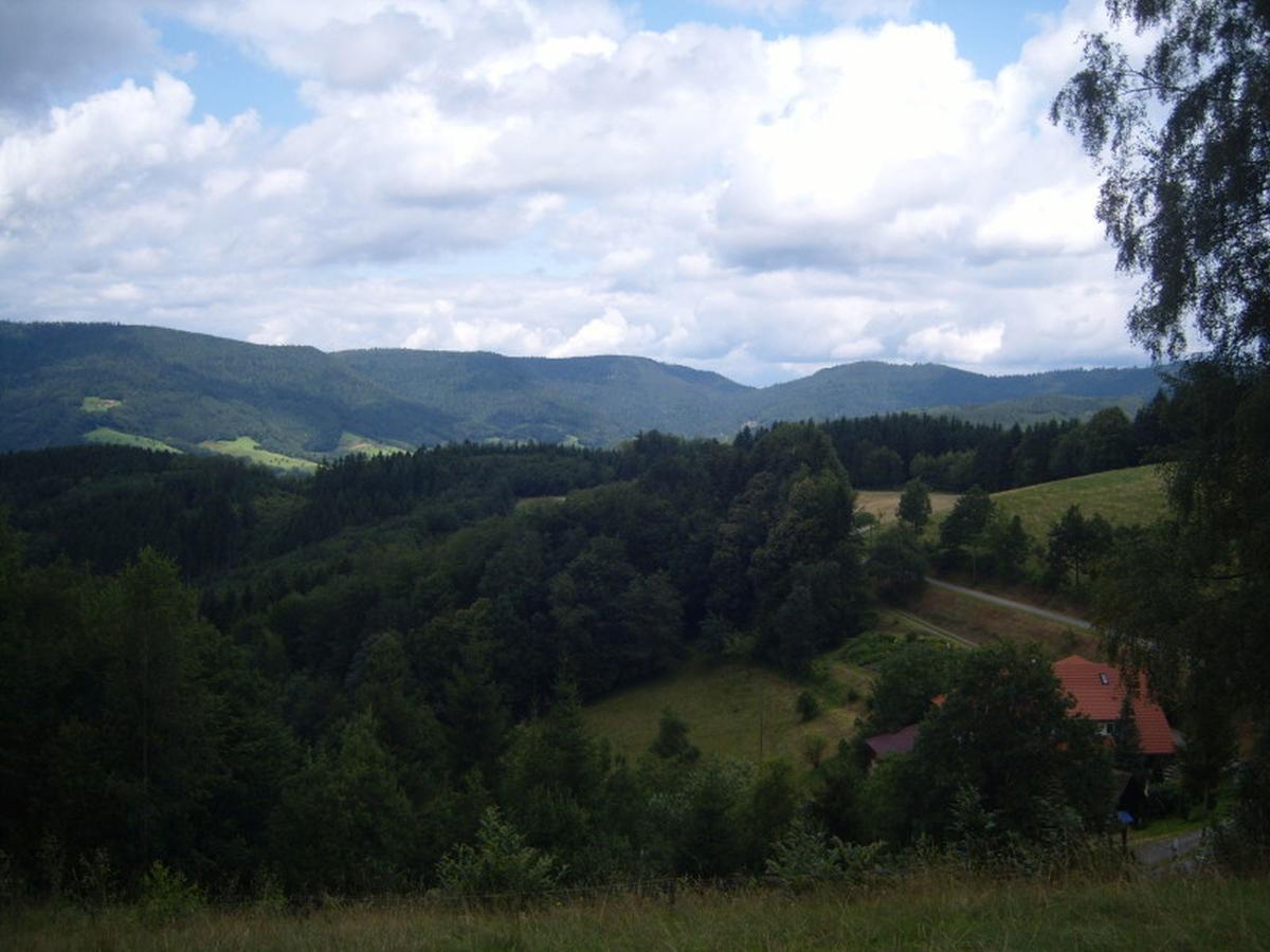 Langenberghof Apartment Oberharmersbach Bagian luar foto