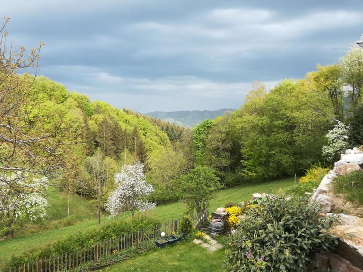 Langenberghof Apartment Oberharmersbach Bagian luar foto