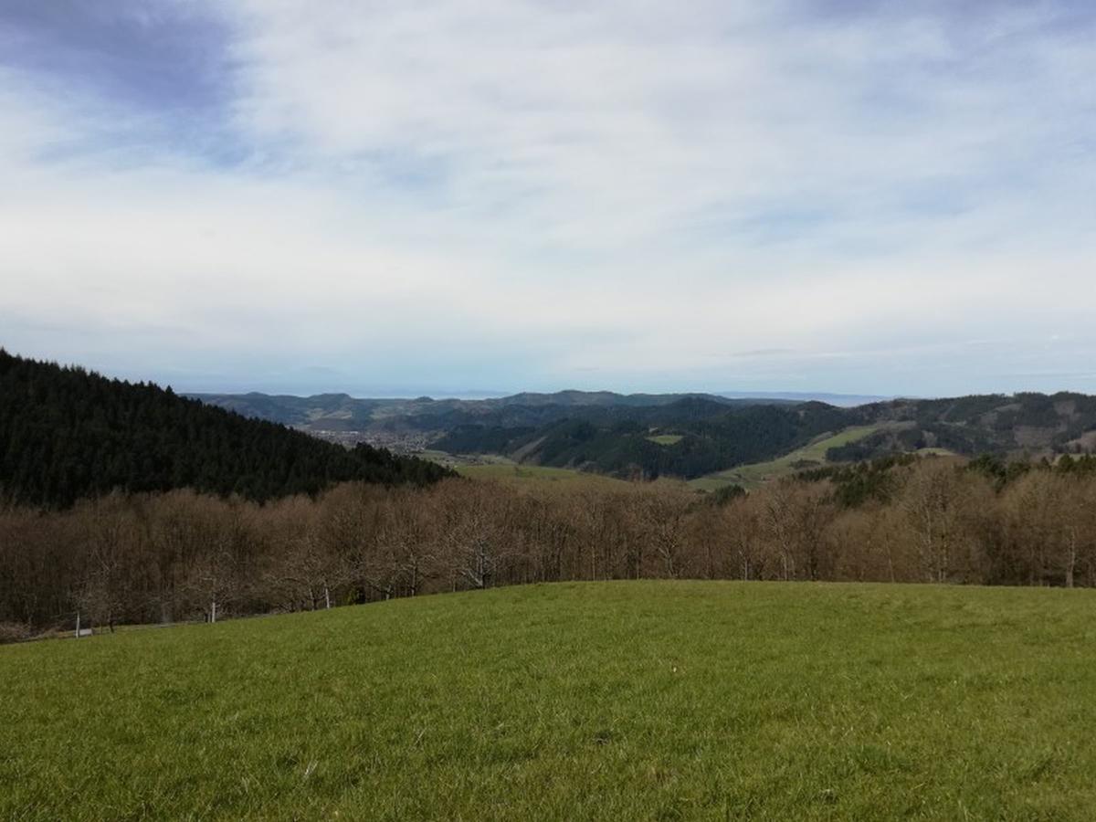 Langenberghof Apartment Oberharmersbach Bagian luar foto