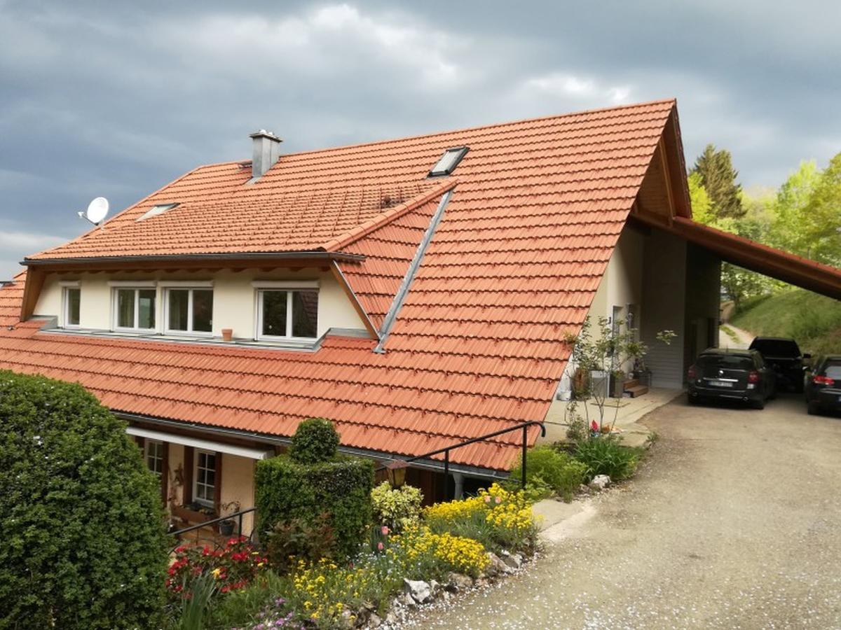 Langenberghof Apartment Oberharmersbach Bagian luar foto